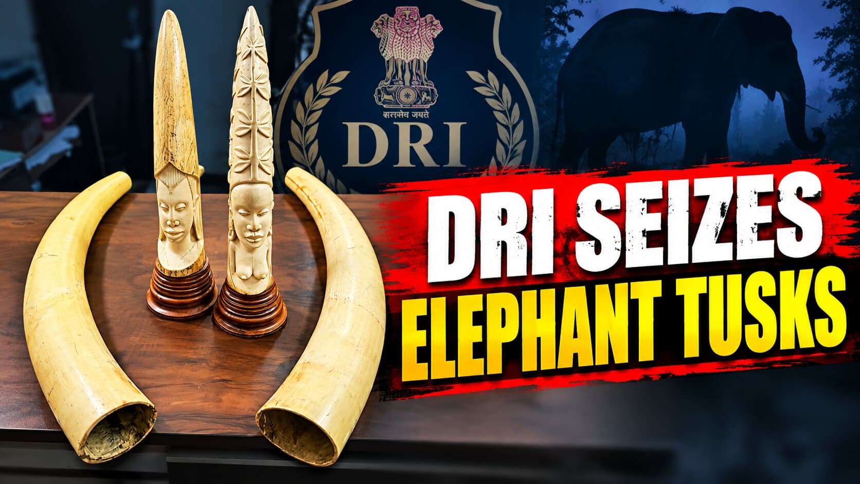 Hyderabad DRI Seizes 17 Kg Elephant Ivory, Four Tusks; Three Apprehended