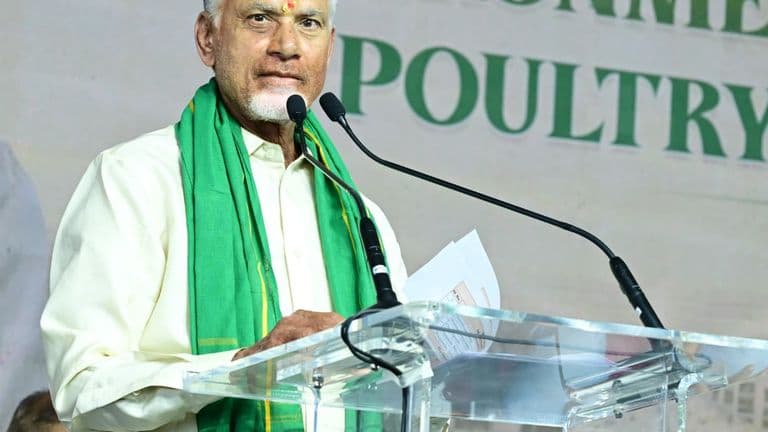 CM Chandrababu Naidu