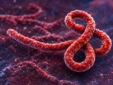 Ebola History