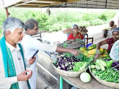 Chief Minister Chandrababu Naidu visited a natural farming field
