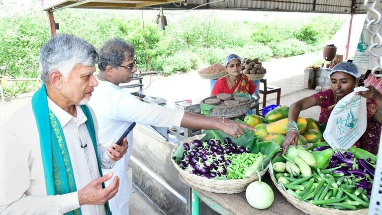 Chief Minister Chandrababu Naidu visited a natural farming field