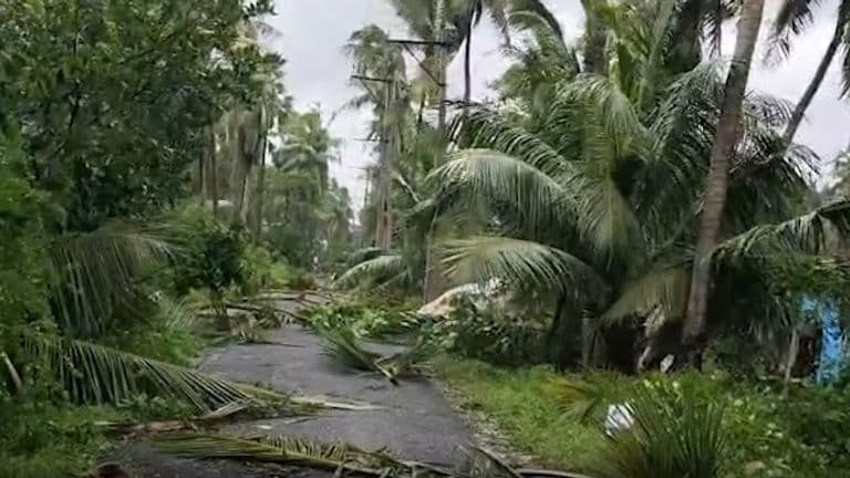Cyclone Arnab weakens after crossing Andhra Pradesh coast