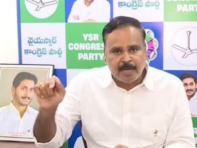 YSRCP leader Vaddi Raghuram raises concerns over electricity subsidies